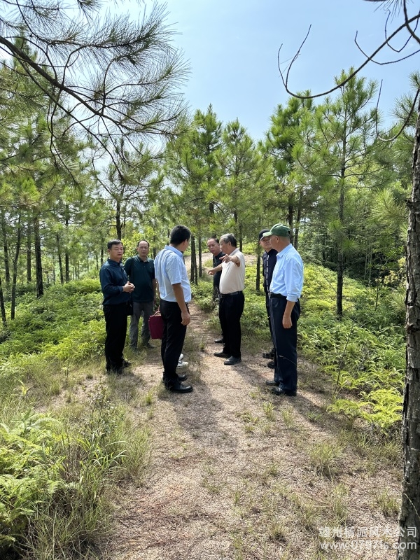 拉萨市学杨公风水跟陈荣昌老师实在